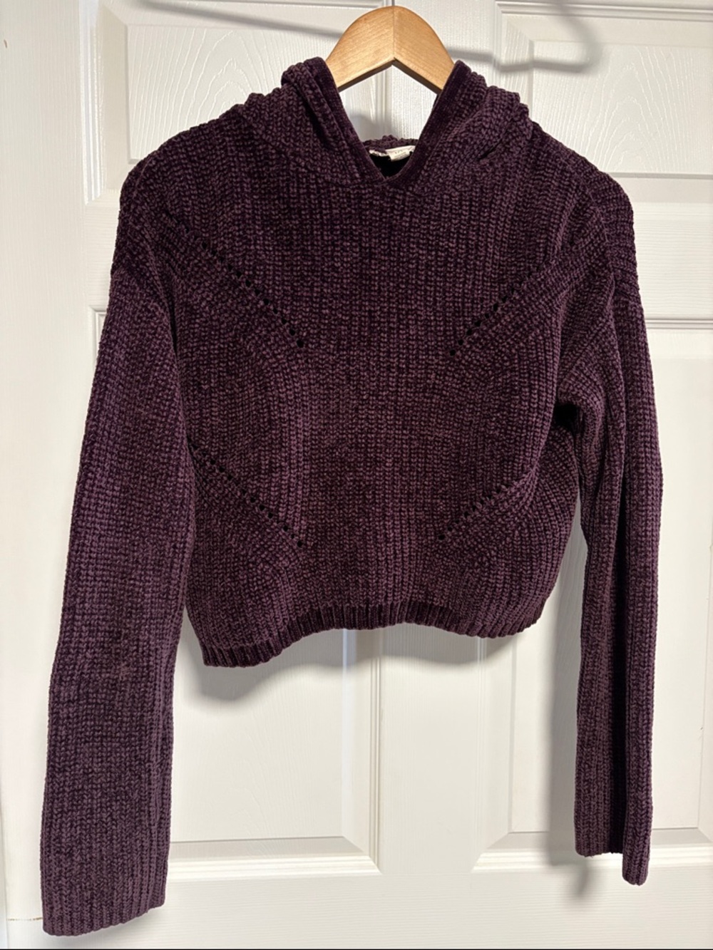 Garage Plush Chenille Hooded Sweater - Plum